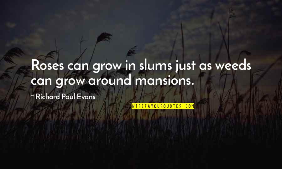 Burrowing Owl Quotes By Richard Paul Evans: Roses can grow in slums just as weeds