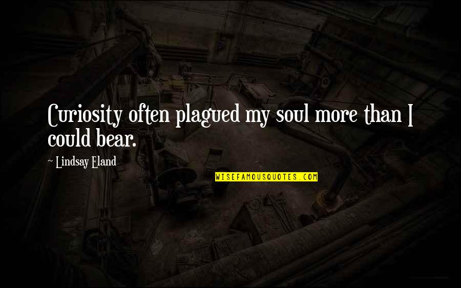Burrrrrrrr Quotes By Lindsay Eland: Curiosity often plagued my soul more than I Burrrrrrrr Quotes By Lindsay Eland: Curiosity often plagued my soul more than I