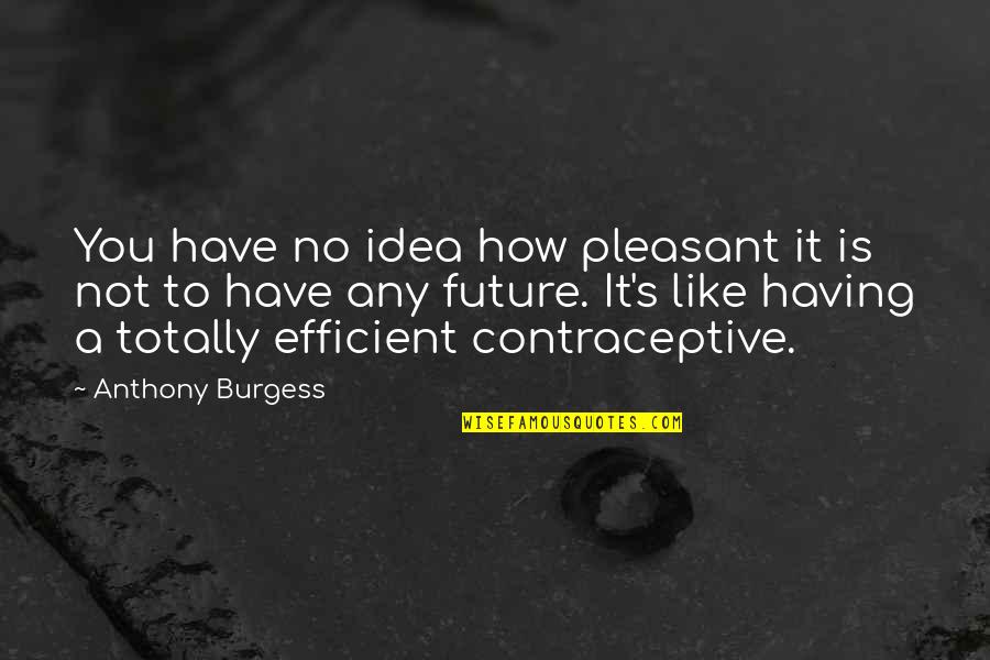 Burst Angel Quotes By Anthony Burgess: You have no idea how pleasant it is
