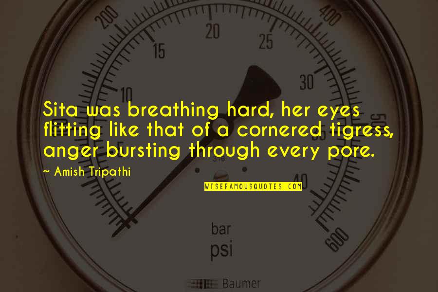 Bursting Anger Quotes By Amish Tripathi: Sita was breathing hard, her eyes flitting like