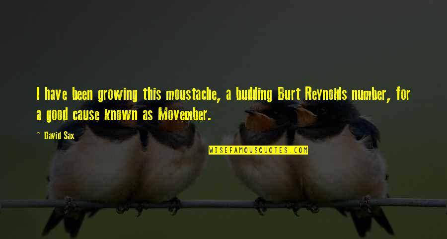 Burt Quotes By David Sax: I have been growing this moustache, a budding Burt Quotes By David Sax: I have been growing this moustache, a budding