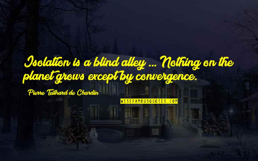 Burtation Quotes By Pierre Teilhard De Chardin: Isolation is a blind alley ... Nothing on