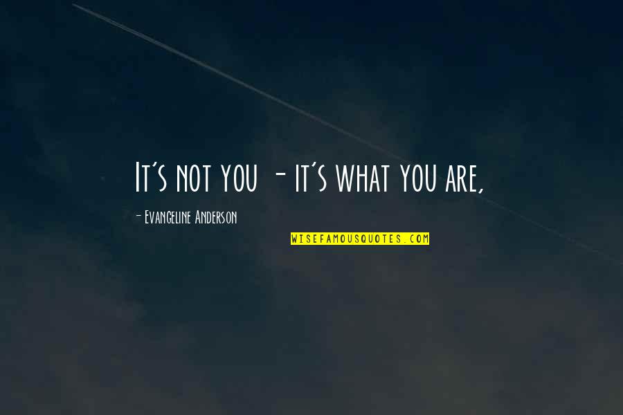 Burton Blatt Quotes By Evangeline Anderson: It's not you - it's what you are,