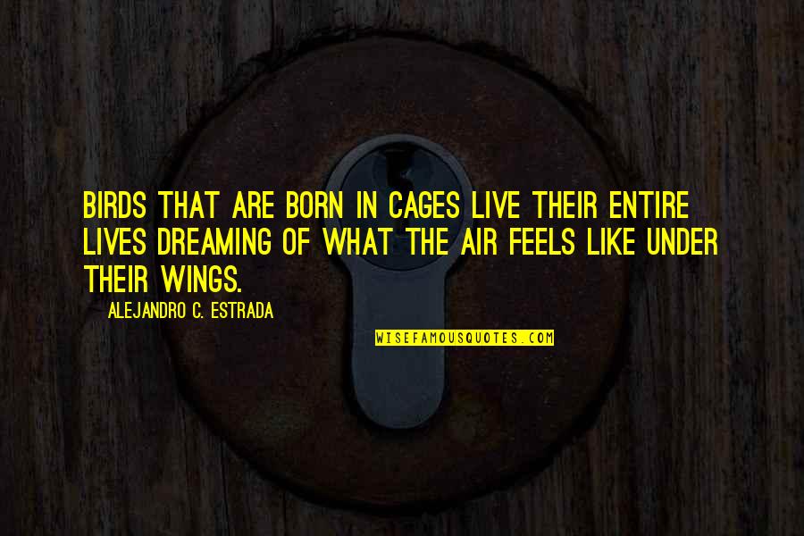 Buryat Mongol Quotes By Alejandro C. Estrada: Birds that are born in cages live their Buryat Mongol Quotes By Alejandro C. Estrada: Birds that are born in cages live their