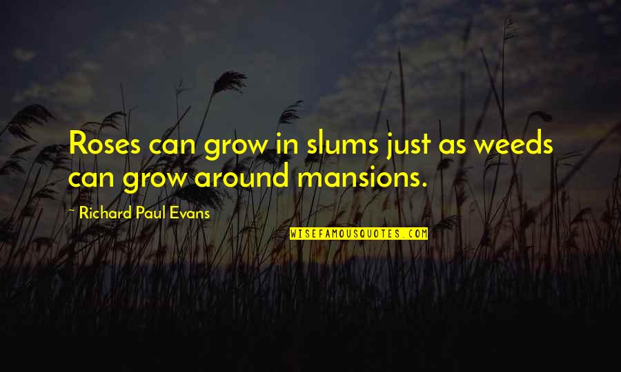 Bus Rental Quotes By Richard Paul Evans: Roses can grow in slums just as weeds Bus Rental Quotes By Richard Paul Evans: Roses can grow in slums just as weeds