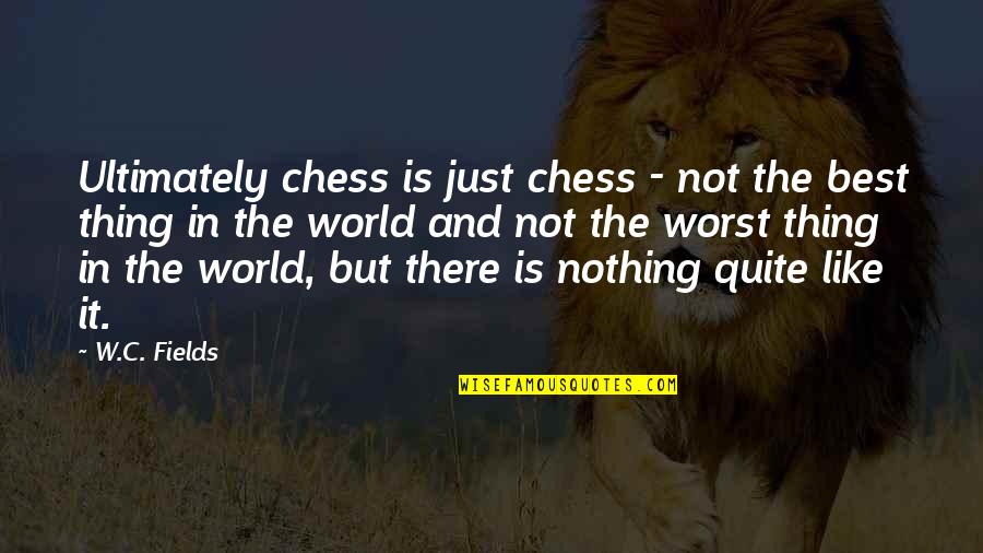 Buscaran Y Quotes By W.C. Fields: Ultimately chess is just chess - not the