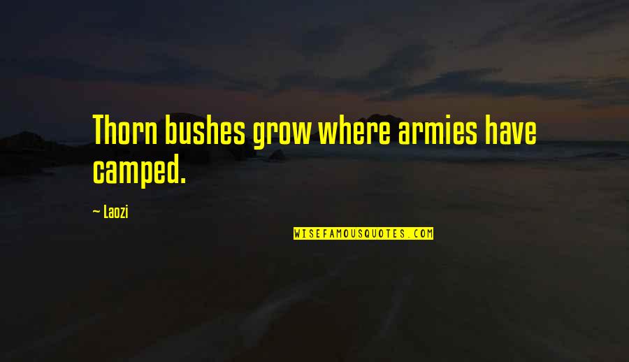 Bushes Quotes By Laozi: Thorn bushes grow where armies have camped.