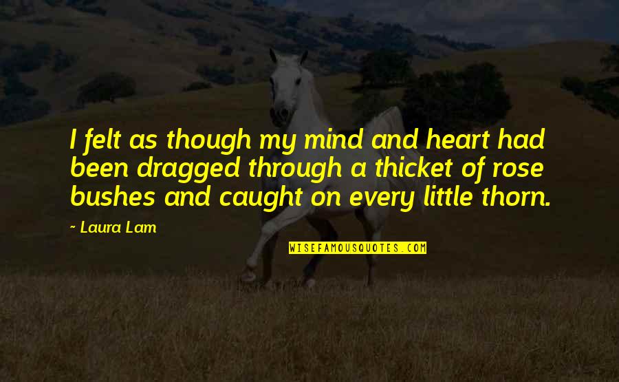 Bushes Quotes By Laura Lam: I felt as though my mind and heart