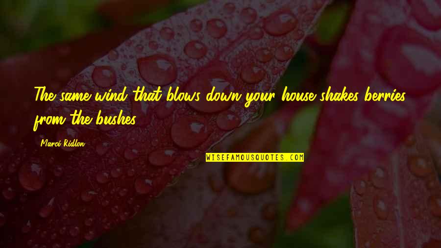 Bushes Quotes By Marci Ridlon: The same wind that blows down your house