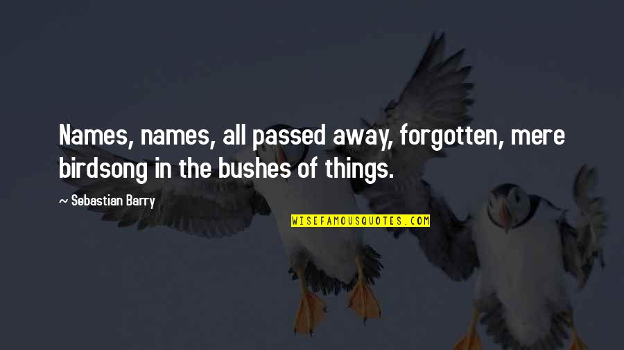 Bushes Quotes By Sebastian Barry: Names, names, all passed away, forgotten, mere birdsong