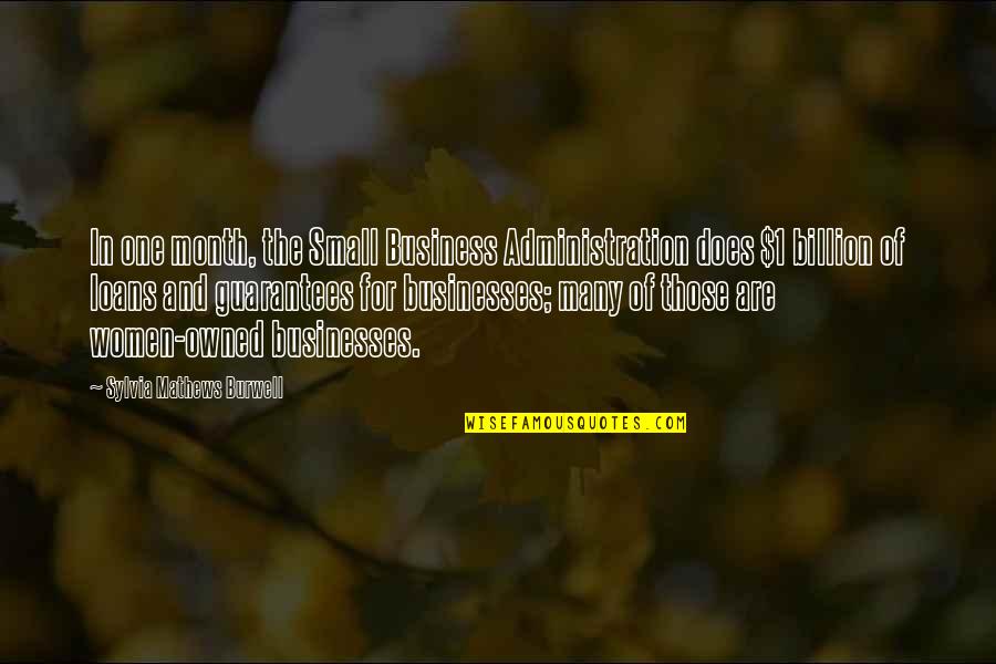 Business Administration Quotes By Sylvia Mathews Burwell: In one month, the Small Business Administration does