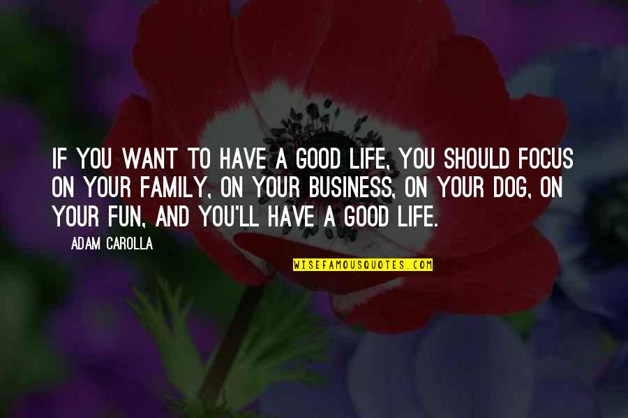 Business And Fun Quotes By Adam Carolla: If you want to have a good life,