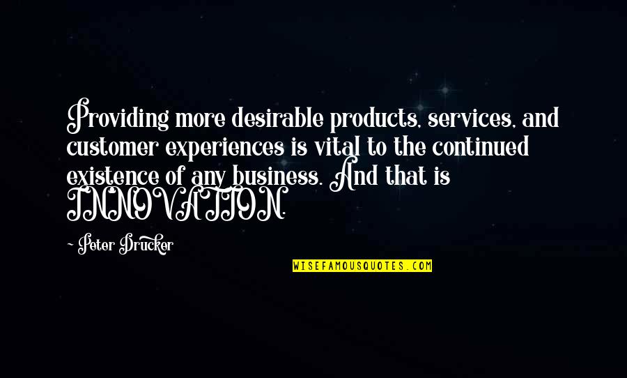 Business And Innovation Quotes By Peter Drucker: Providing more desirable products, services, and customer experiences