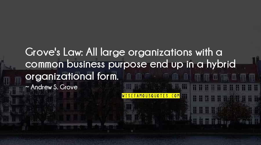 Business And Law Quotes By Andrew S. Grove: Grove's Law: All large organizations with a common