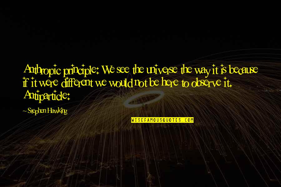 Business As Usual Quotes By Stephen Hawking: Anthropic principle: We see the universe the way