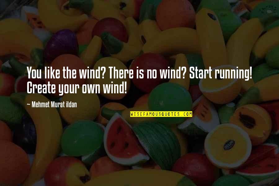 Business Automation Quotes By Mehmet Murat Ildan: You like the wind? There is no wind?