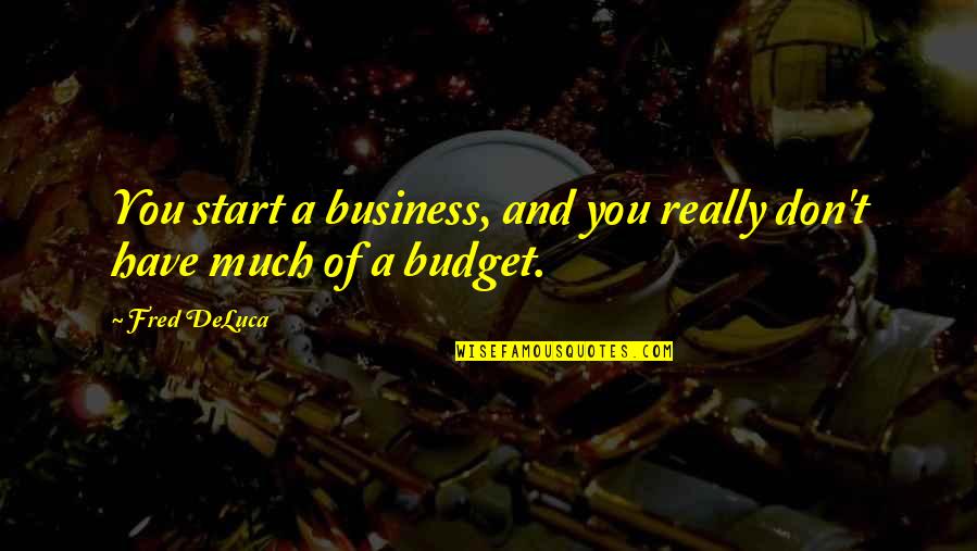 Business Budget Quotes By Fred DeLuca: You start a business, and you really don't