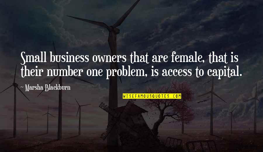 Business Capital Quotes By Marsha Blackburn: Small business owners that are female, that is