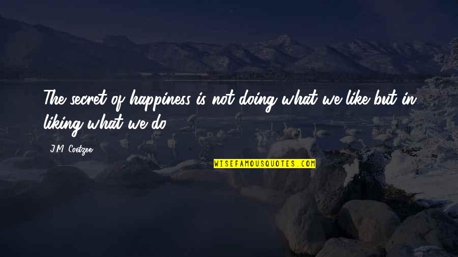 Business Concept Quotes By J.M. Coetzee: The secret of happiness is not doing what