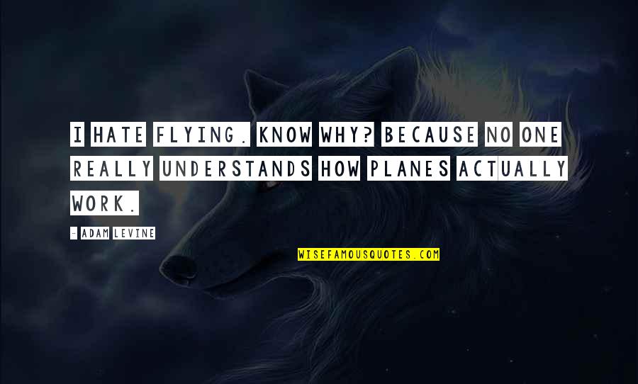 Business Gurus Quotes By Adam Levine: I hate flying. Know why? Because no one