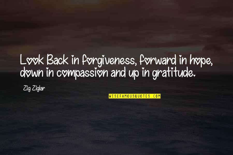 Business Hope Quotes By Zig Ziglar: Look Back in forgiveness, forward in hope, down