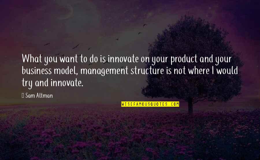 Business Management Quotes By Sam Altman: What you want to do is innovate on Business Management Quotes By Sam Altman: What you want to do is innovate on