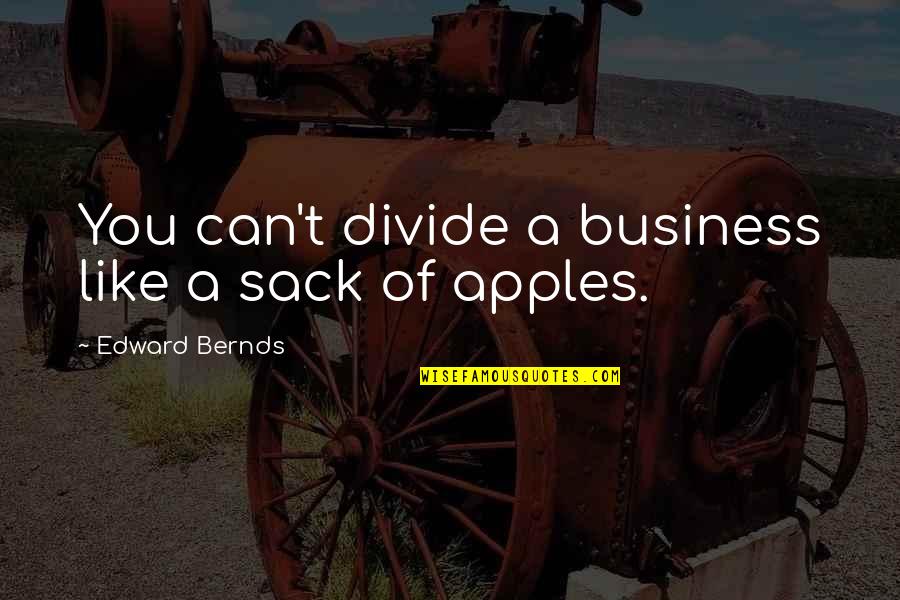 Business Partnership Quotes By Edward Bernds: You can't divide a business like a sack