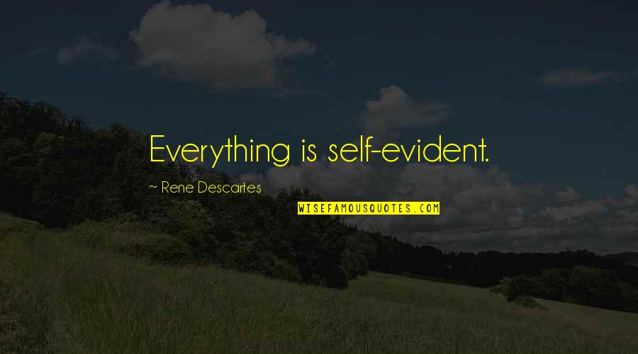 Business Profitability Quotes By Rene Descartes: Everything is self-evident.