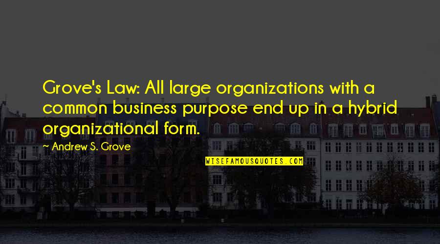 Business Purpose Quotes By Andrew S. Grove: Grove's Law: All large organizations with a common