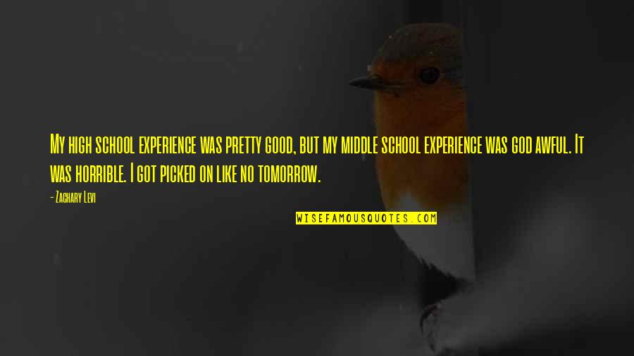 Business Quotations Quotes By Zachary Levi: My high school experience was pretty good, but Business Quotations Quotes By Zachary Levi: My high school experience was pretty good, but