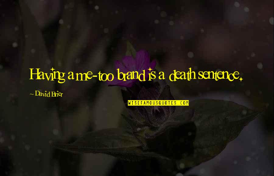 Business Quotes Business Success Quotes By David Brier: Having a me-too brand is a death sentence.