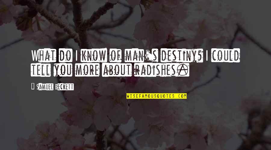 Business Related Inspirational Quotes By Samuel Beckett: What do I know of man's destiny? I