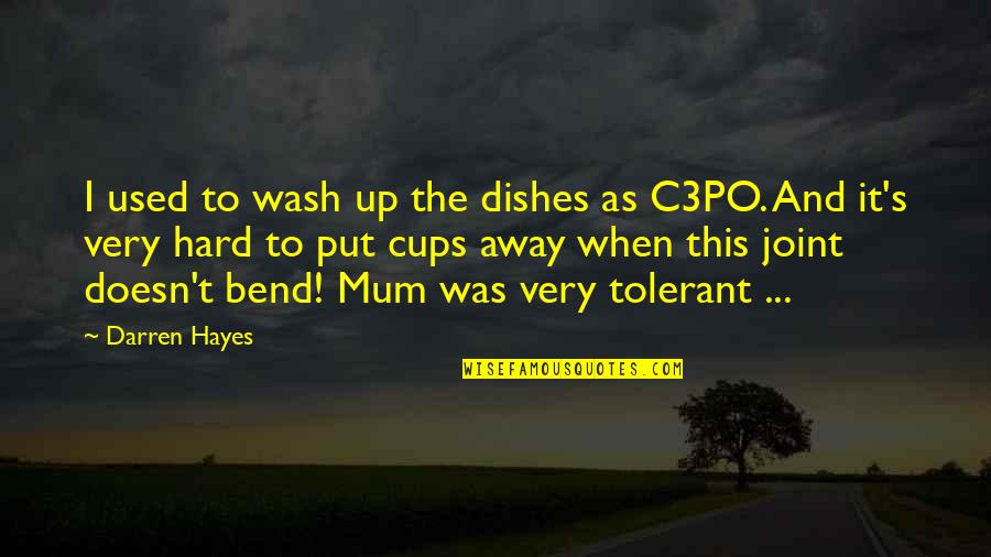 Business Reviews Quotes By Darren Hayes: I used to wash up the dishes as