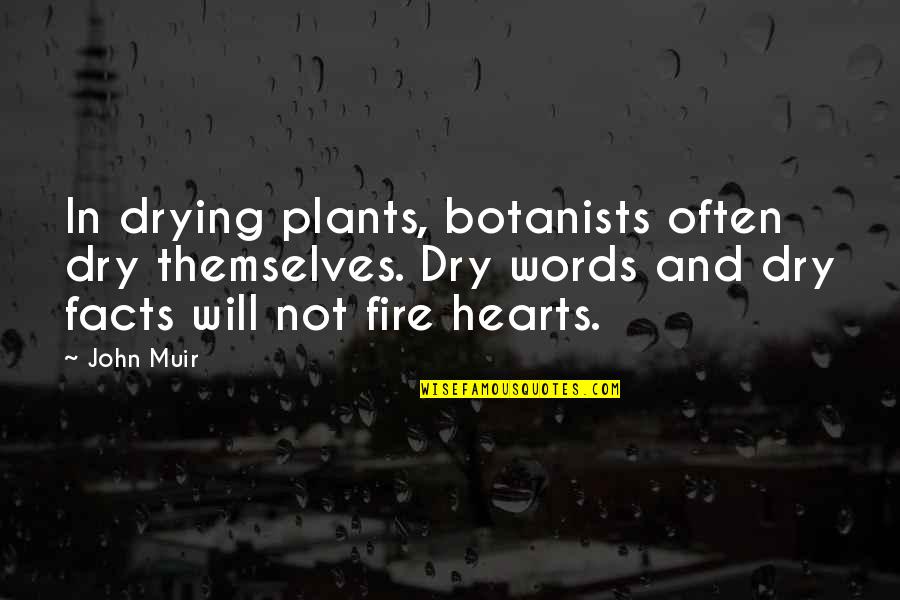 Business To Consumer Quotes By John Muir: In drying plants, botanists often dry themselves. Dry