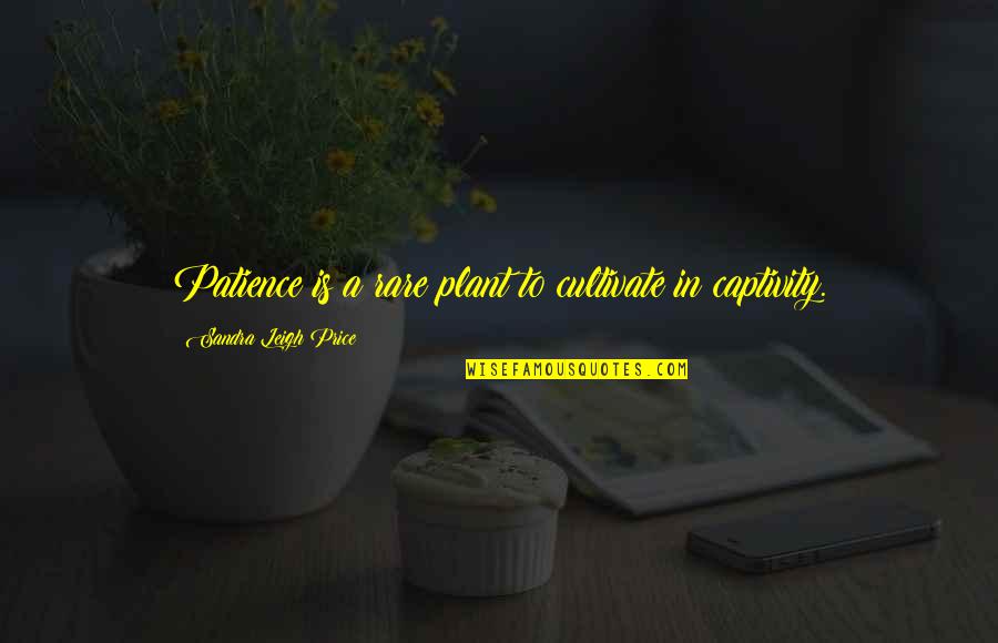Business Travelers Quotes By Sandra Leigh Price: Patience is a rare plant to cultivate in