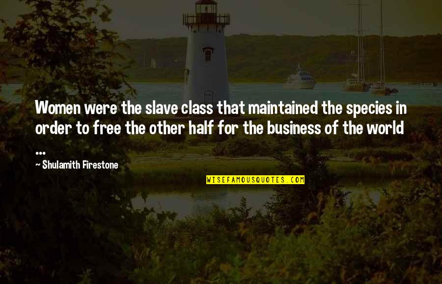 Business Women Quotes By Shulamith Firestone: Women were the slave class that maintained the