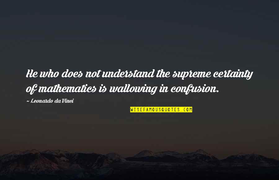Businessballs Funny Quotes By Leonardo Da Vinci: He who does not understand the supreme certainty