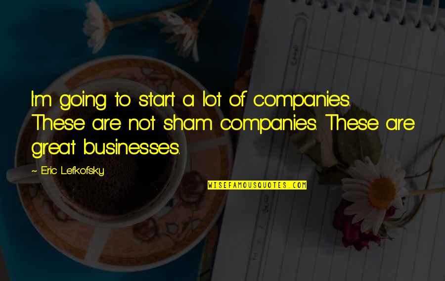 Businesses Quotes By Eric Lefkofsky: I'm going to start a lot of companies.