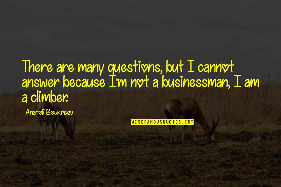 Businessman's Quotes By Anatoli Boukreev: There are many questions, but I cannot answer