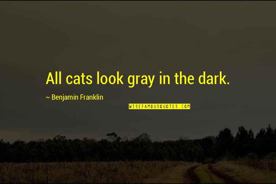 Busqueda De Procesos Quotes By Benjamin Franklin: All cats look gray in the dark. Busqueda De Procesos Quotes By Benjamin Franklin: All cats look gray in the dark.