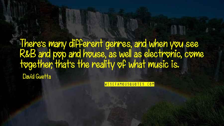 Bussiere And Bussiere Quotes By David Guetta: There's many different genres, and when you see