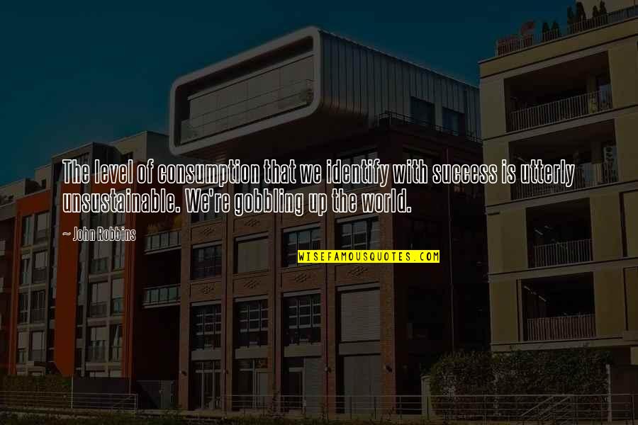 Bussiness Quotes By John Robbins: The level of consumption that we identify with Bussiness Quotes By John Robbins: The level of consumption that we identify with