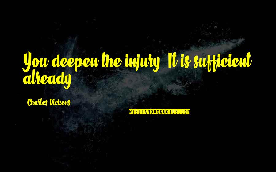 Bussum Quotes By Charles Dickens: You deepen the injury. It is sufficient already.