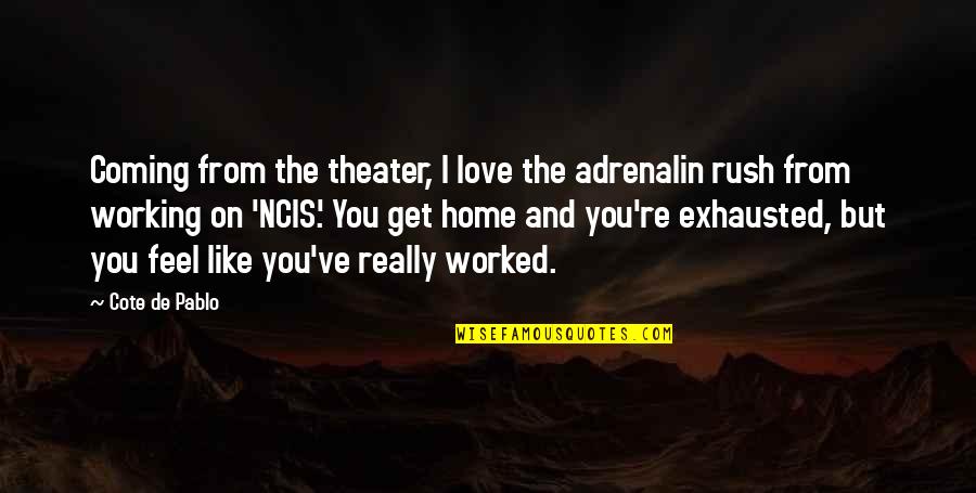 Busted Lyric Quotes By Cote De Pablo: Coming from the theater, I love the adrenalin