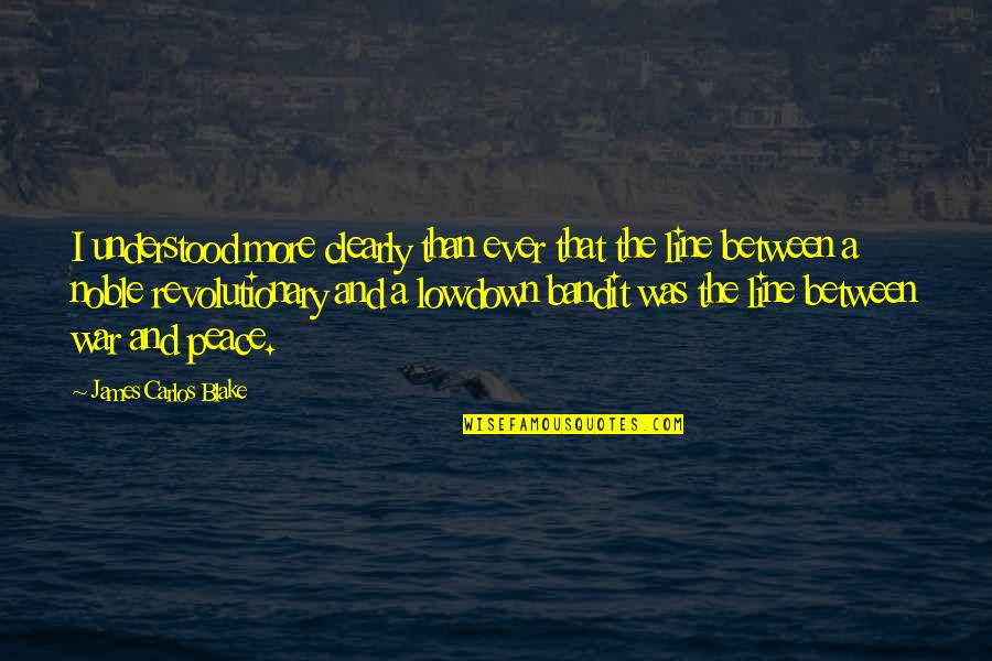 Busting Quotes By James Carlos Blake: I understood more clearly than ever that the