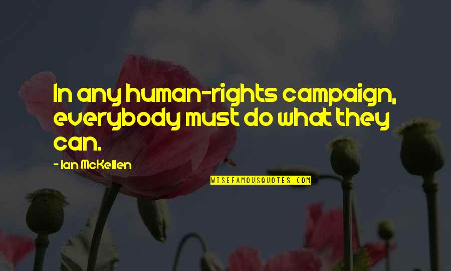 Bustopher Quotes By Ian McKellen: In any human-rights campaign, everybody must do what