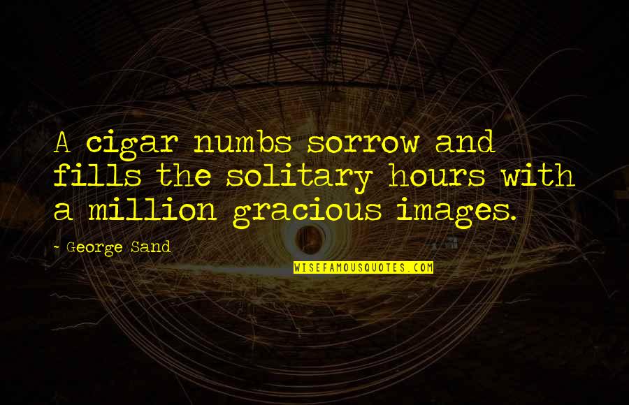 Busy Husband Funny Quotes By George Sand: A cigar numbs sorrow and fills the solitary