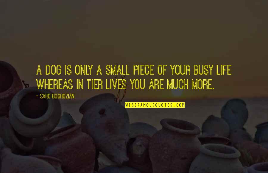 Busy Lives Quotes By Saro Boghozian: A dog is only a small piece of