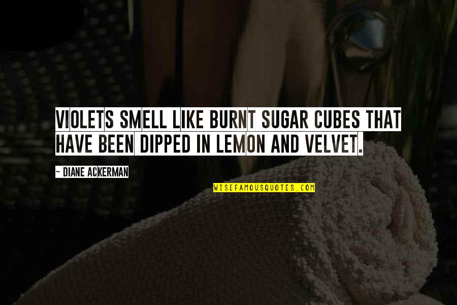 Busy Night Quotes By Diane Ackerman: Violets smell like burnt sugar cubes that have
