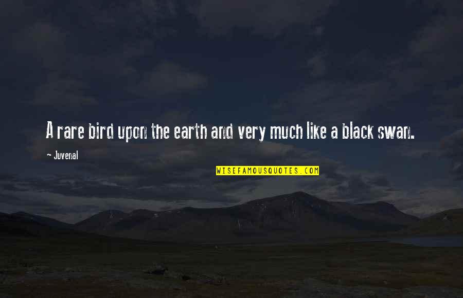 Busy Schedule Quotes By Juvenal: A rare bird upon the earth and very